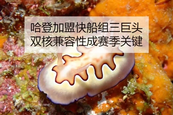哈登加盟快船组三巨头 双核兼容性成赛季关键
