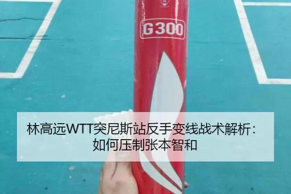 林高远WTT突尼斯站反手变线战术解析：如何压制张本智和